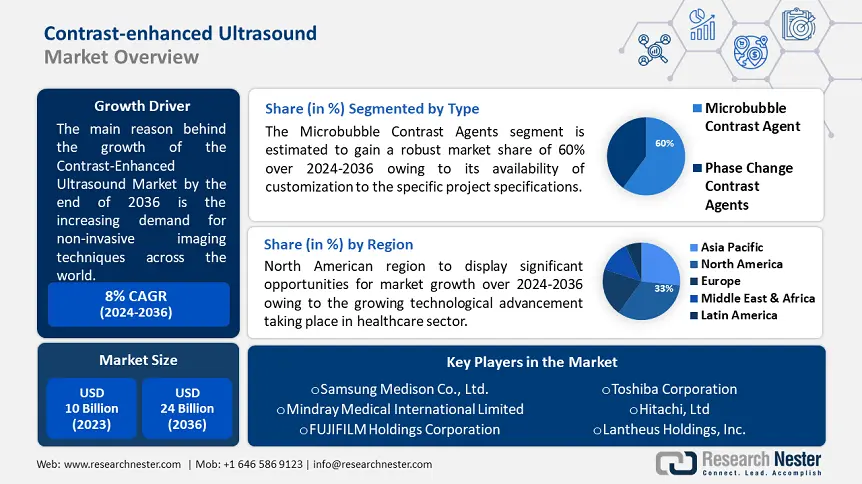 Contrast Enhanced Ultrasound Market